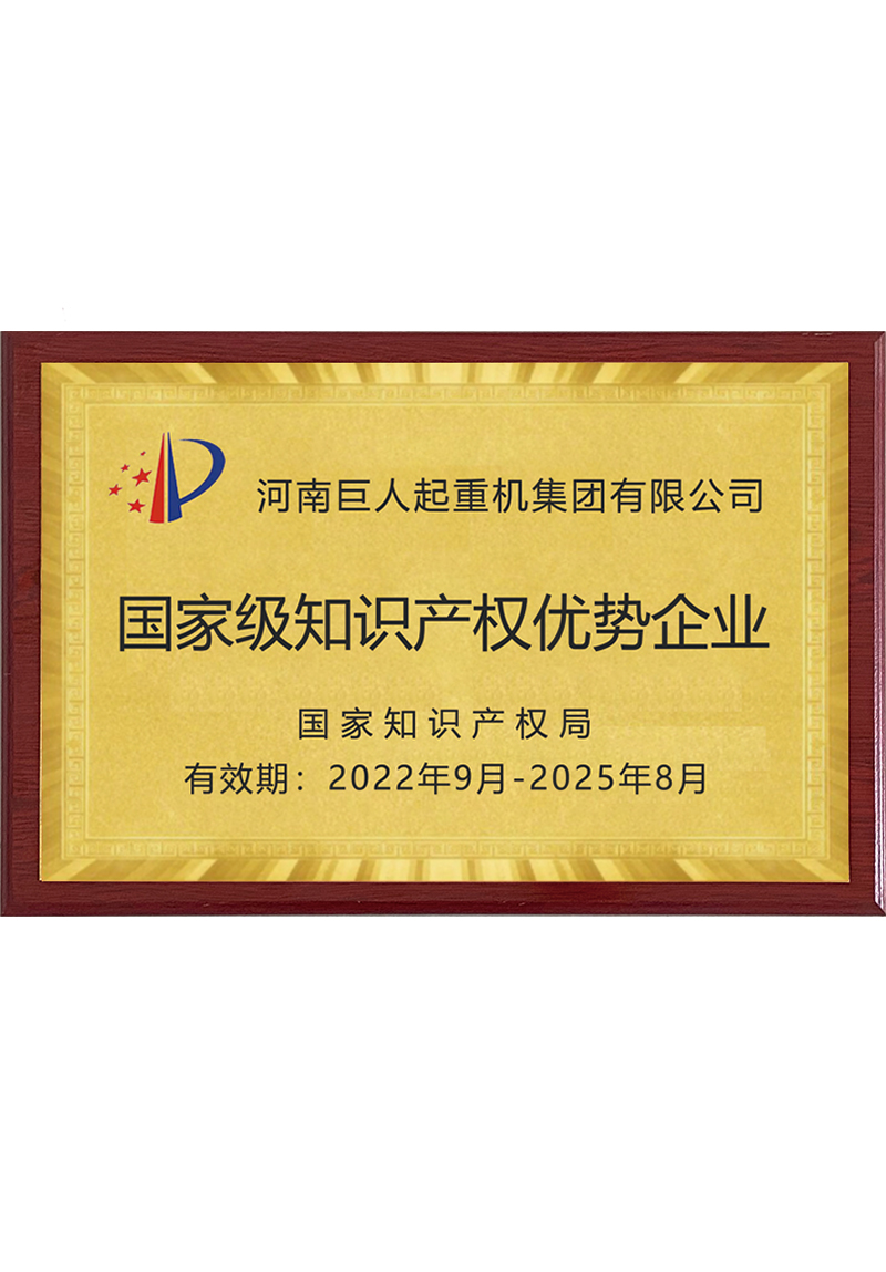 國家級知識產(chǎn)權優(yōu)勢企業(yè)